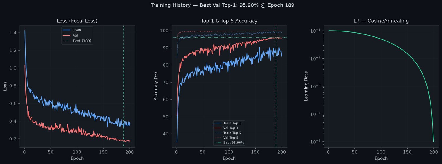 V2 training and validation curves over 200 epochs